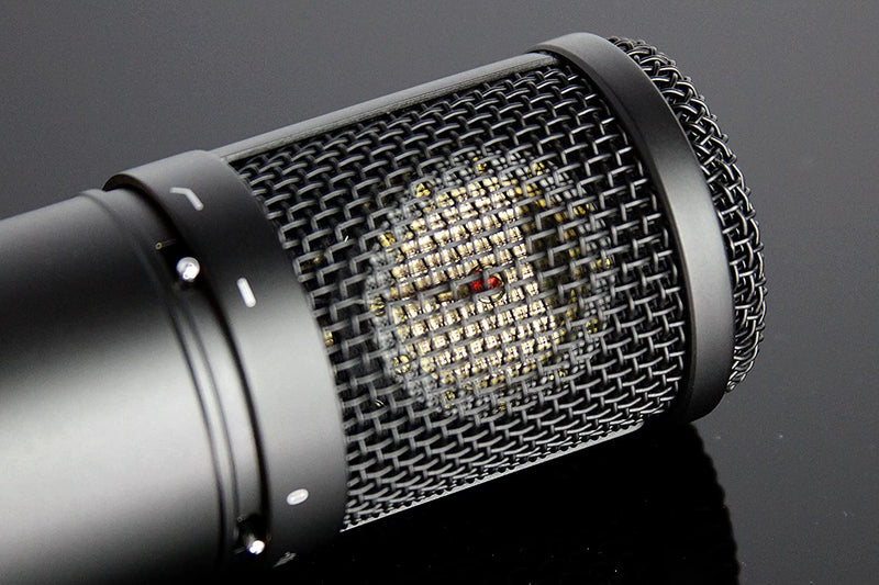 Tascam TM-280 Deluxe Large Diaphragm Studio Condenser Microphone